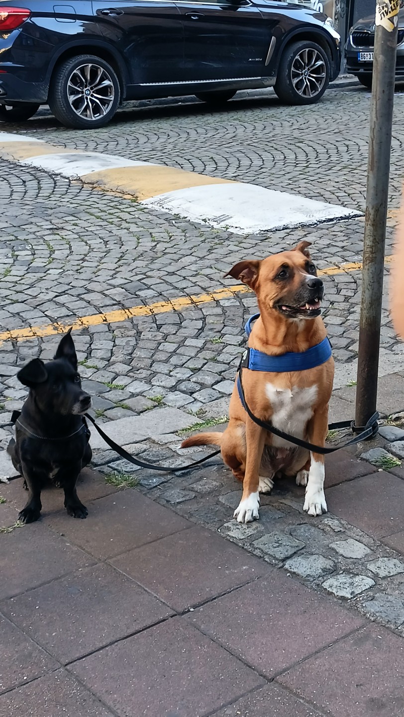Отзыв о экскурсии "Две тысячи лет Белграда — экскурсия в мини-группе" — фото 1