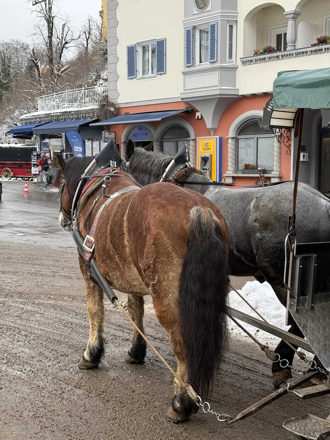 Отзыв о экскурсии "Из Мюнхена — в замок Нойшванштайн, деревню Обераммергау и монастырь Этталь" — фото 1