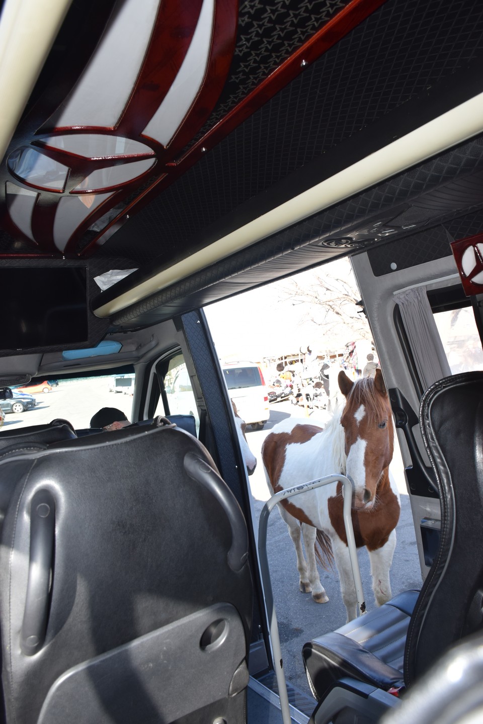 Отзыв о экскурсии "Святая Мцхета: экскурсия в небольшой группе" — фото 3