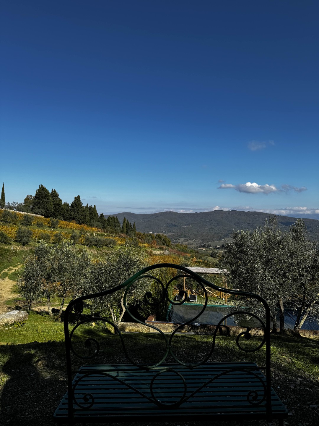 Отзыв о экскурсии "Та самая Тоскана: вино в замке Кьянти и пейзажи" — фото 4