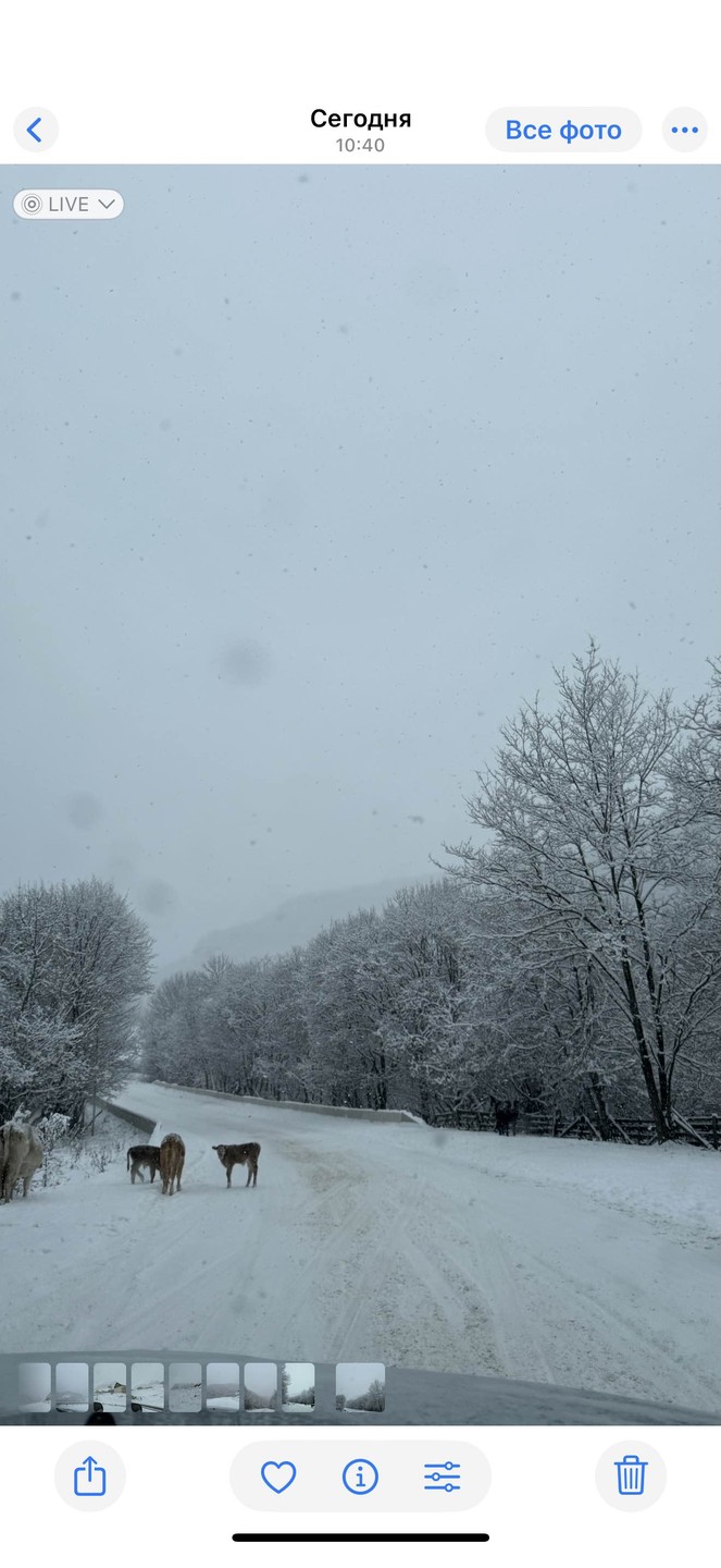 Фото путешественника — 5