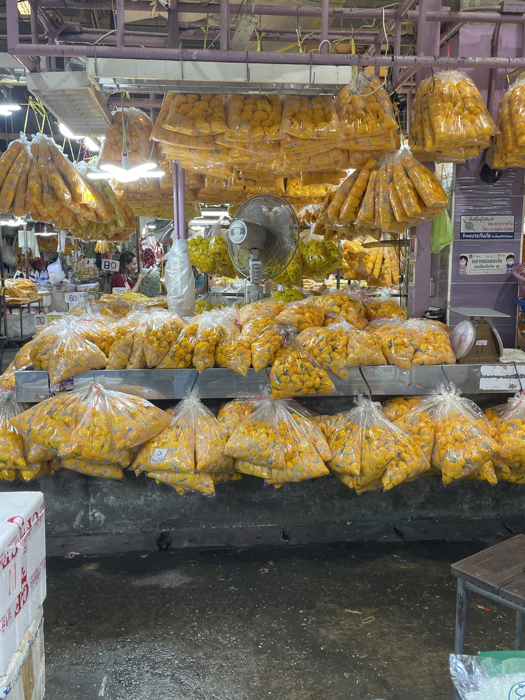 Фото путешественника — 6