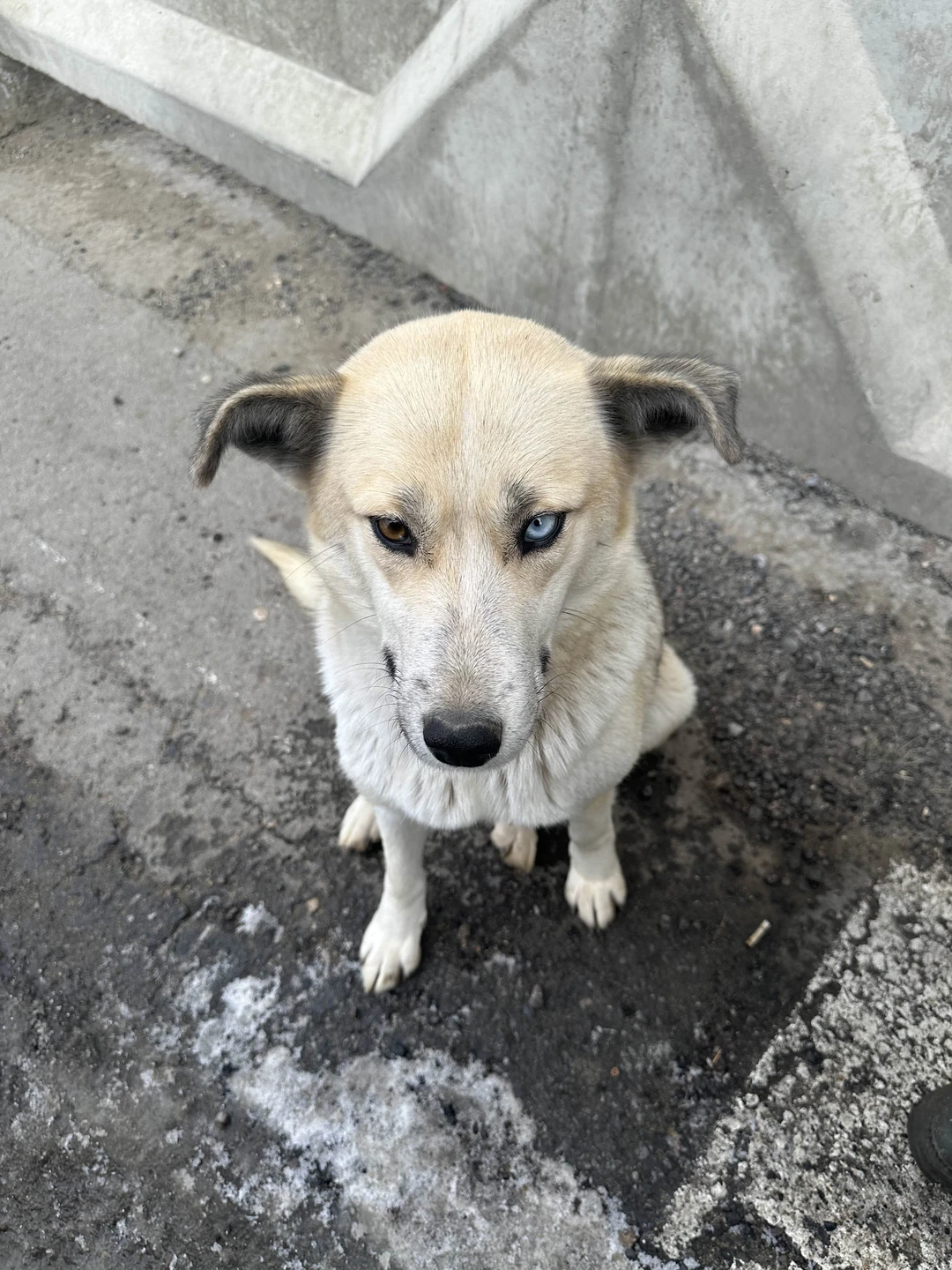 Отзыв о экскурсии "Зимний Ольхон: чистый лёд, пузырьки и гроты" — фото 1