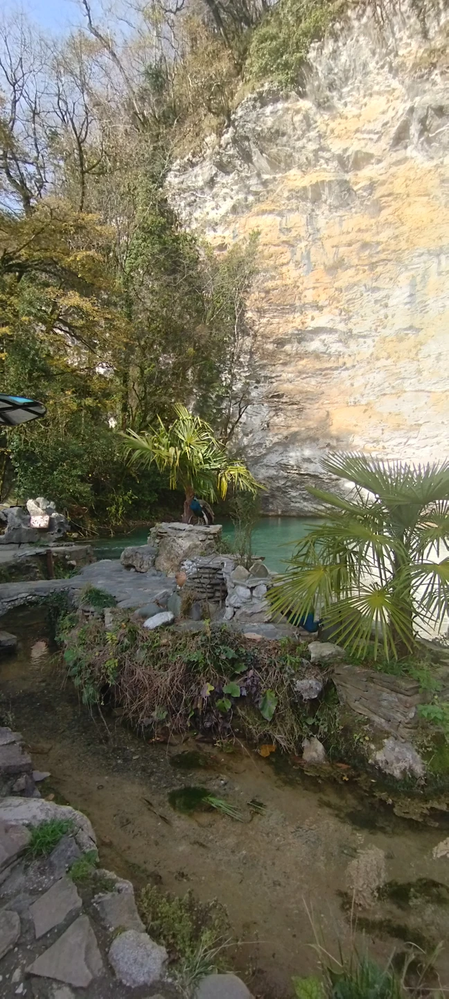 Отзыв о экскурсии "К озеру Рица — через главные красоты Абхазии" — фото 6