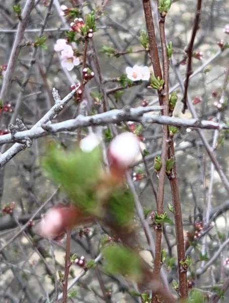 Фото путешественника — 6