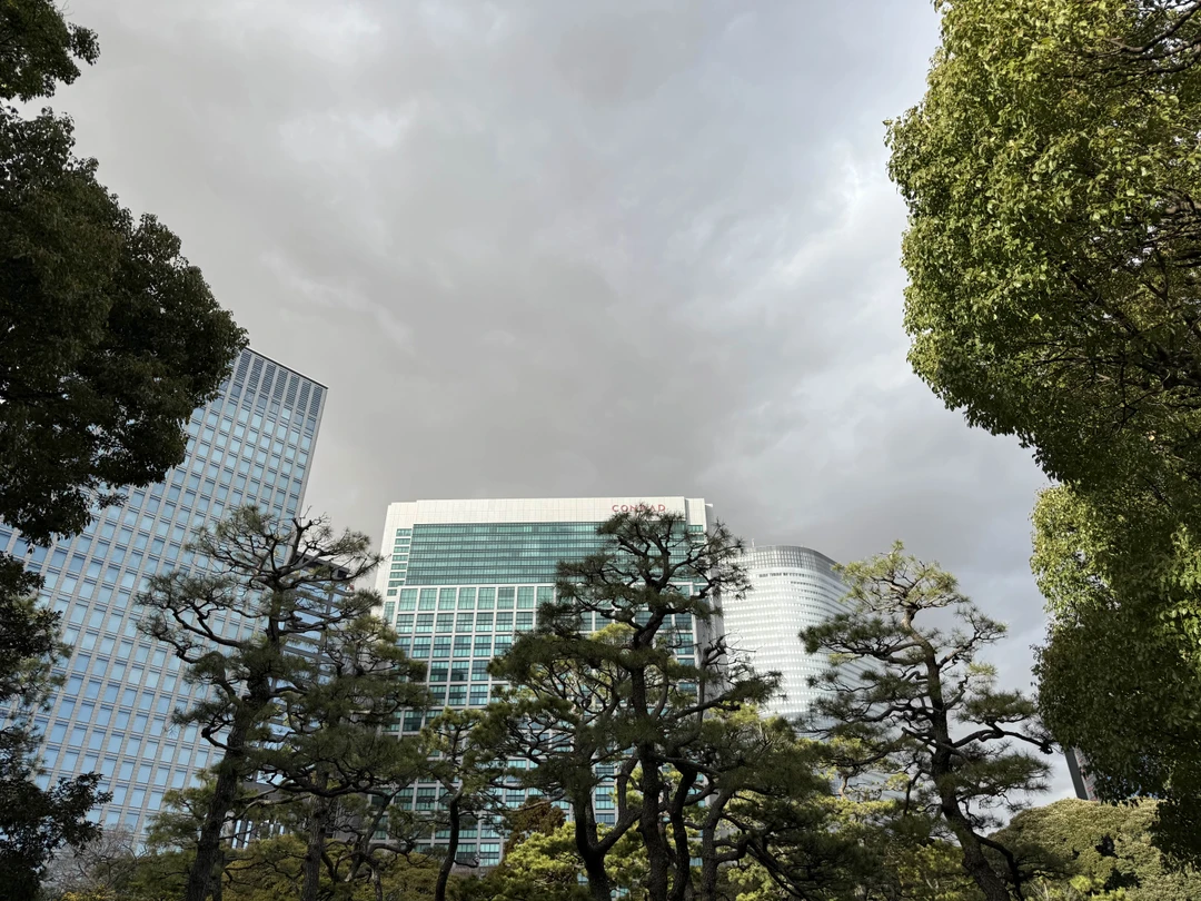 Отзыв о экскурсии "Обзорная экскурсия по знаковым местам яркого Токио" — фото 1