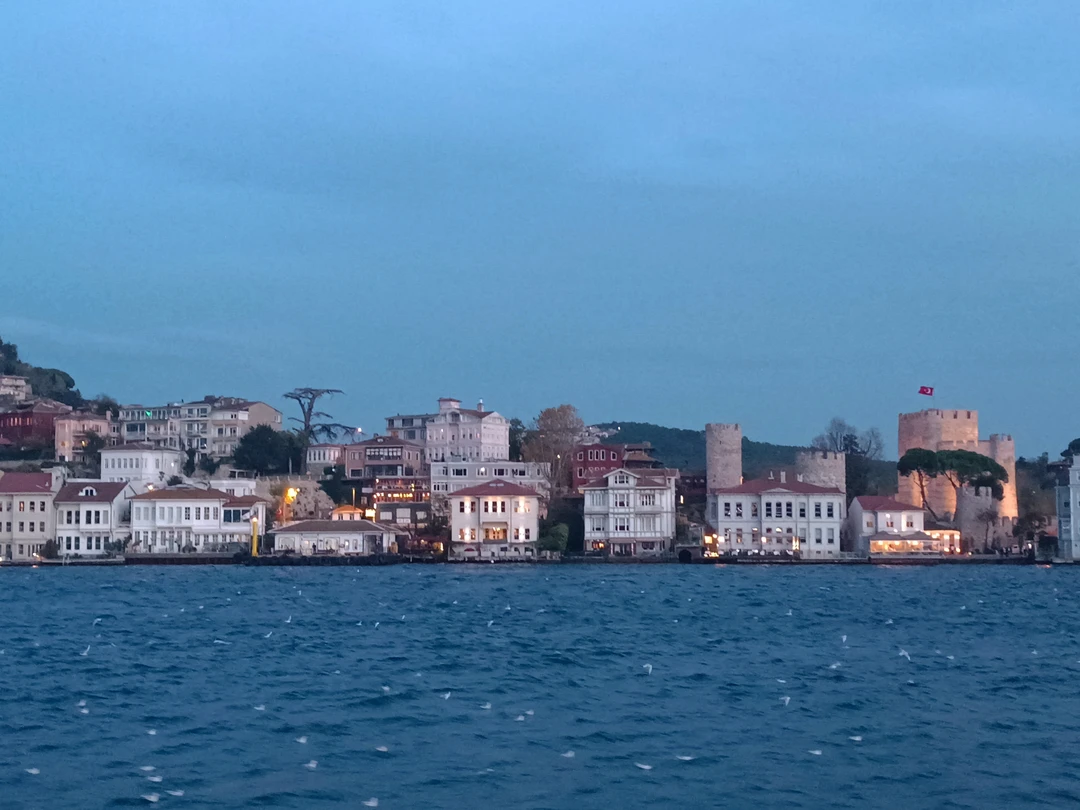 Отзыв о экскурсии "Морская прогулка по Босфору с аудиогидом" — фото 2