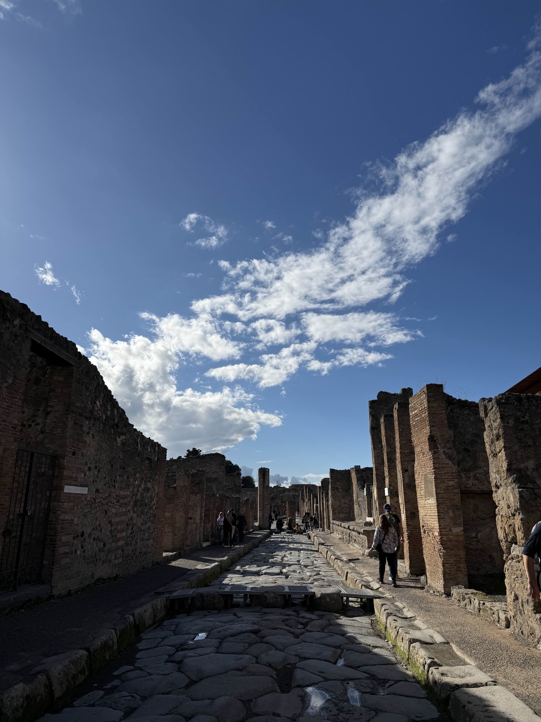 Отзыв о экскурсии "Везувий и Помпеи: история и легенды" — фото 1