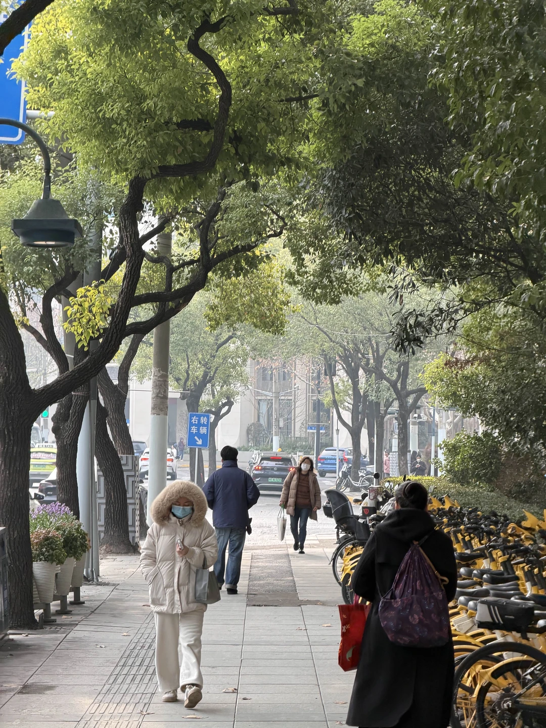 Отзыв о экскурсии "Шанхай за несколько часов — для тех, кто проездом" — фото 7