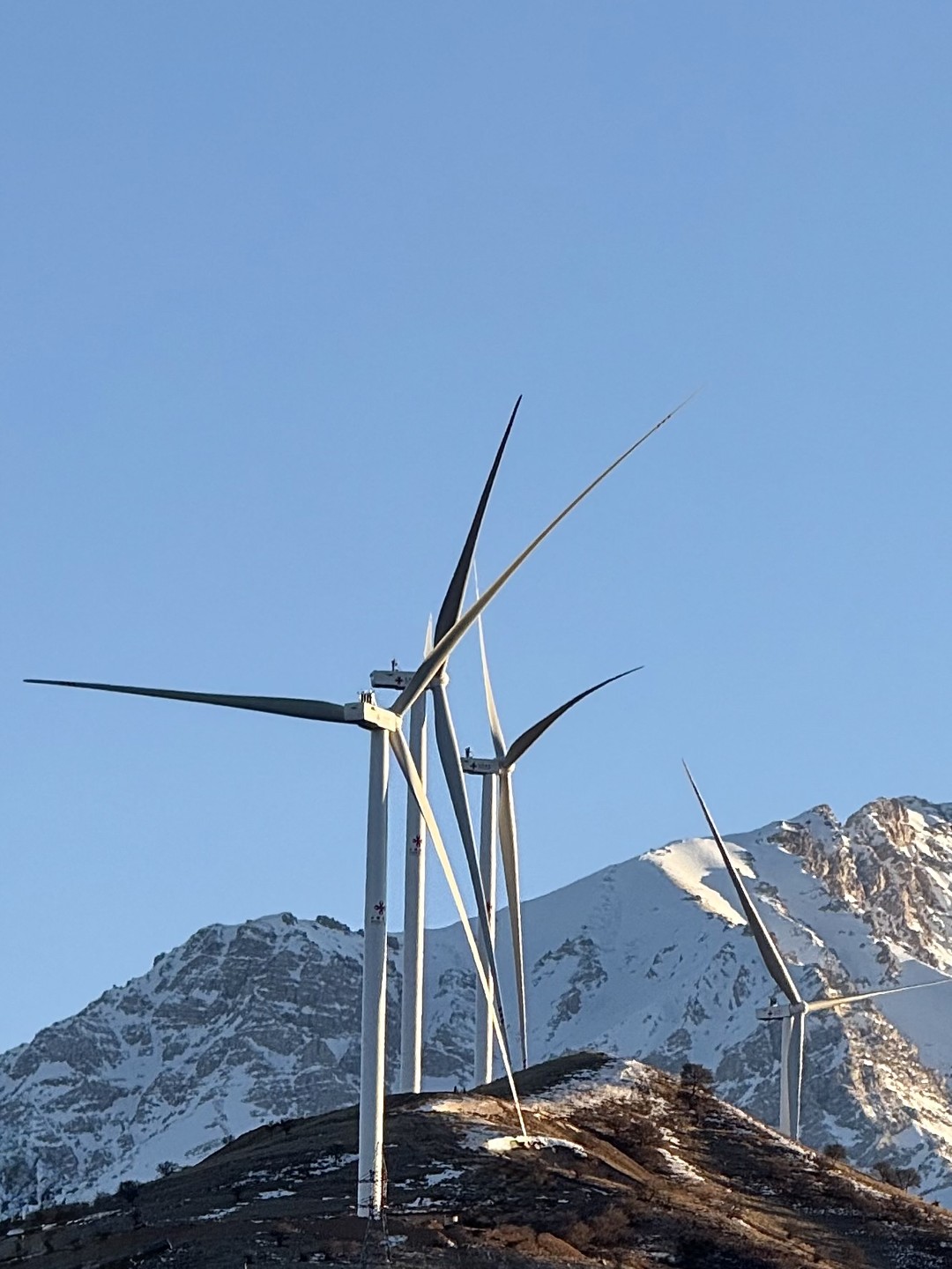 Отзыв о экскурсии "4 в 1: Амирсой, Чимган, Чарвакское водохранилище и винодельня" — фото 1