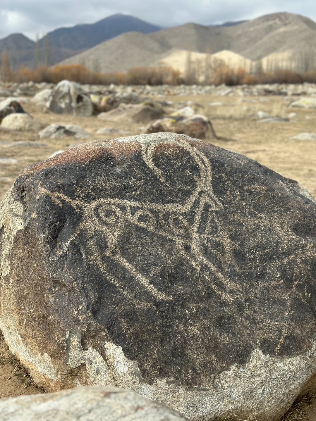 Отзыв о экскурсии "Два незабываемых дня в окрестностях Иссык-Куля" — фото 2