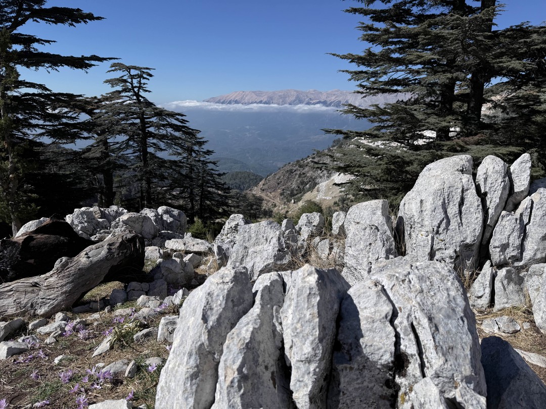 Фото путешественника — 2