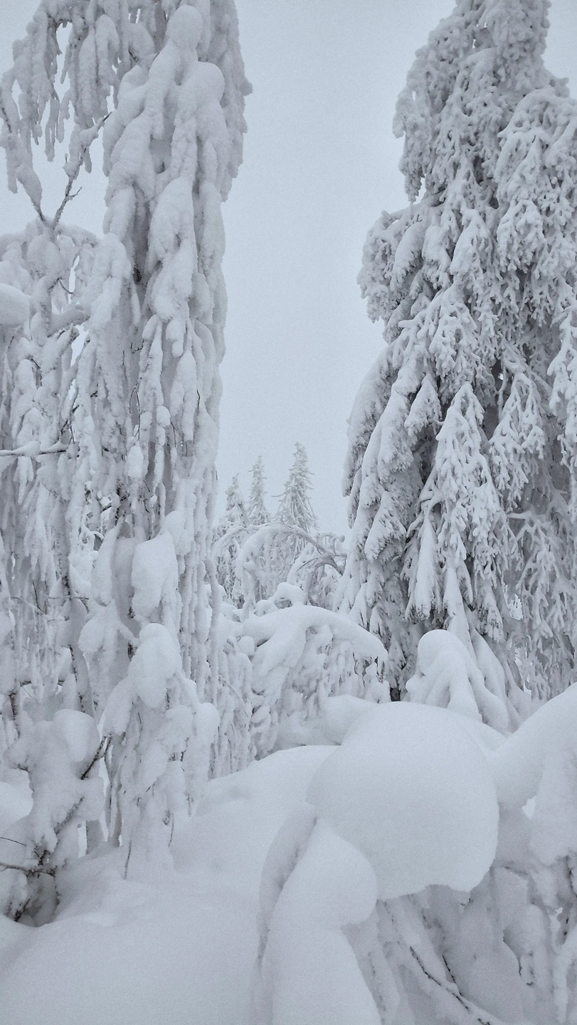 Отзыв о экскурсии "Сказки Пермского края: Усьвинские столбы и Каменный город" — фото 5