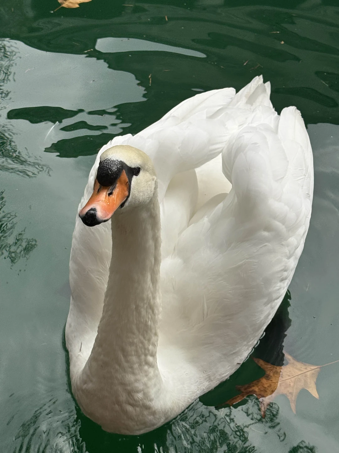 Фото путешественника — 2