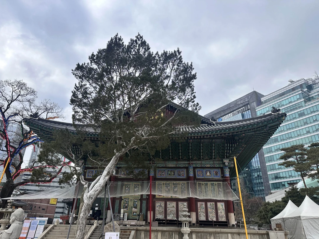 Отзыв о экскурсии "Знакомство с Сеулом на авто" — фото 5