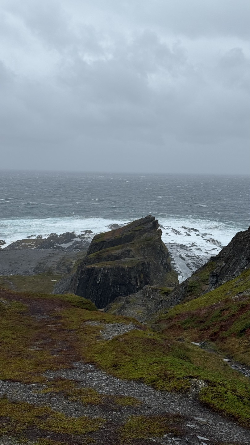 Отзыв о экскурсии "На самый-самый север: автотур по Рыбачьему и Среднему" — фото 2