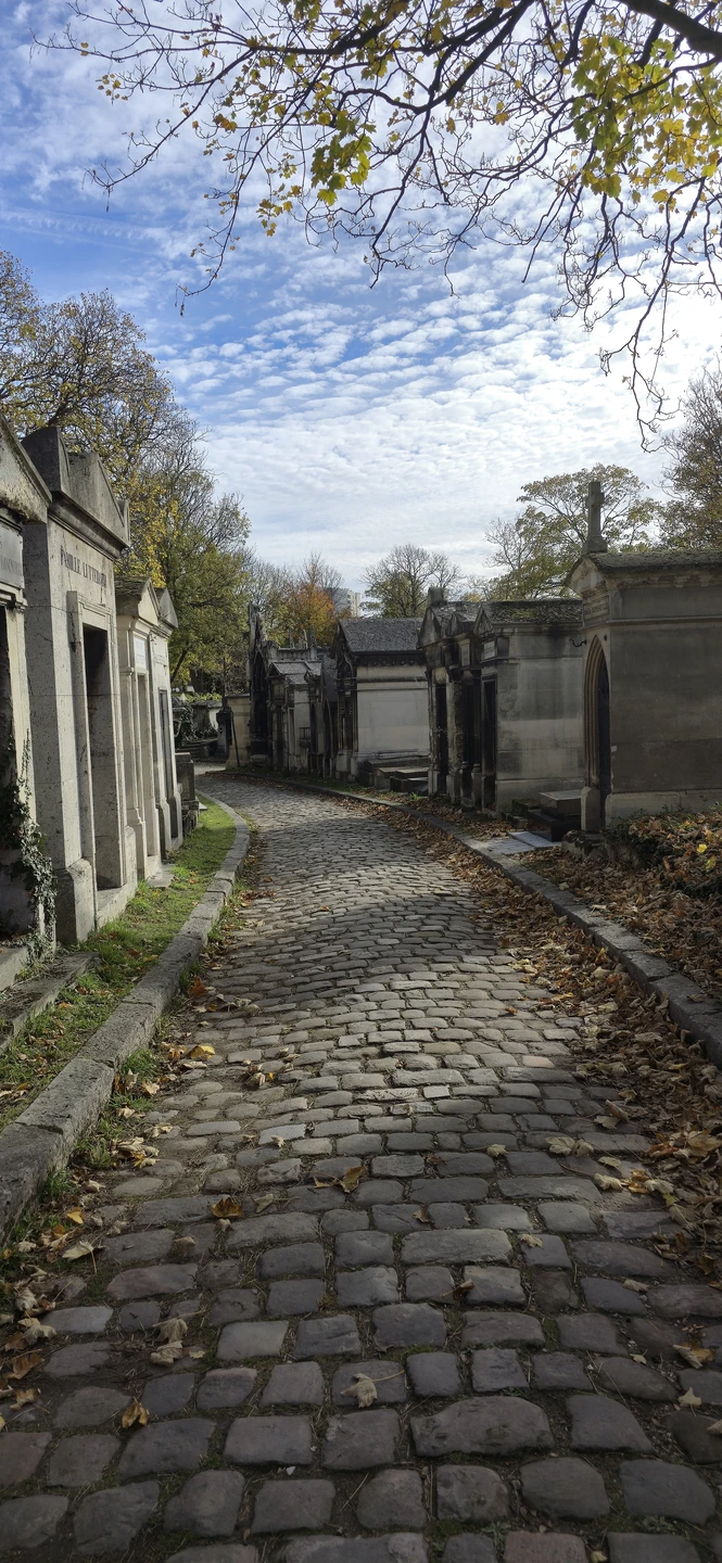 Отзыв о экскурсии "Групповая прогулка по Пер-Лашез: знаменитости, легенды и вороны" — фото 3