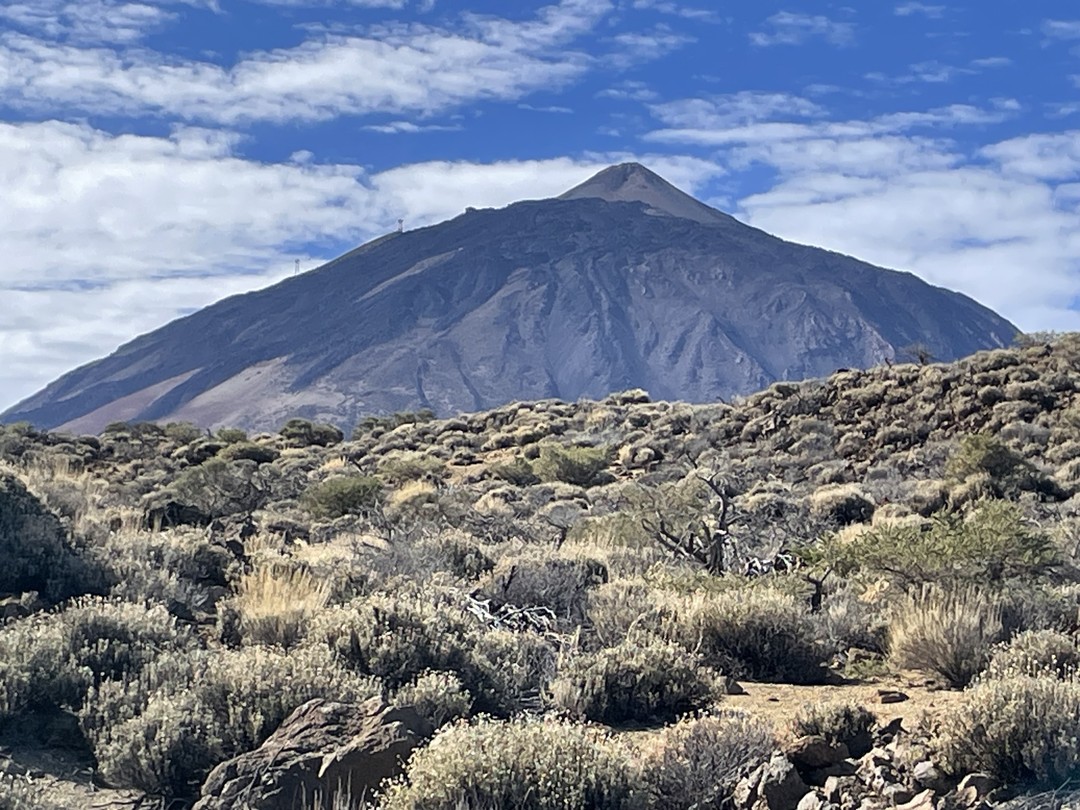 Отзыв о экскурсии "Великолепие вулкана Тейде" — фото 1