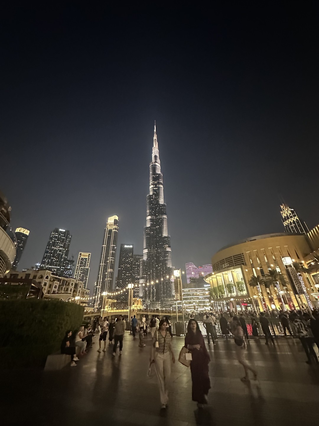 Отзыв о экскурсии "1 день в Дубае + катание на монорельсе" — фото 1