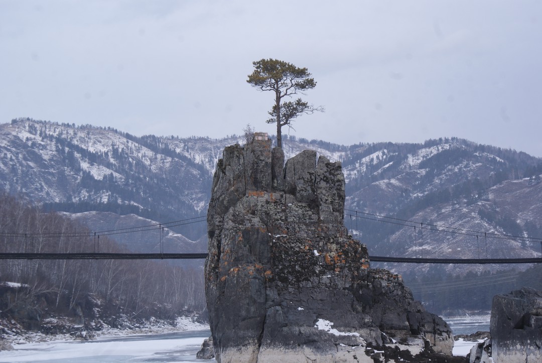 Отзыв о экскурсии "Долина Катуни — в гости к госпоже Горного Алтая" — фото 3