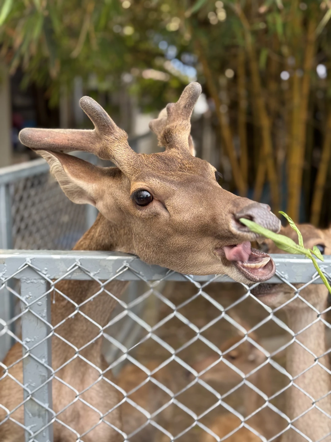 Отзыв о экскурсии "Открывая мир вокруг Бангкока" — фото 1