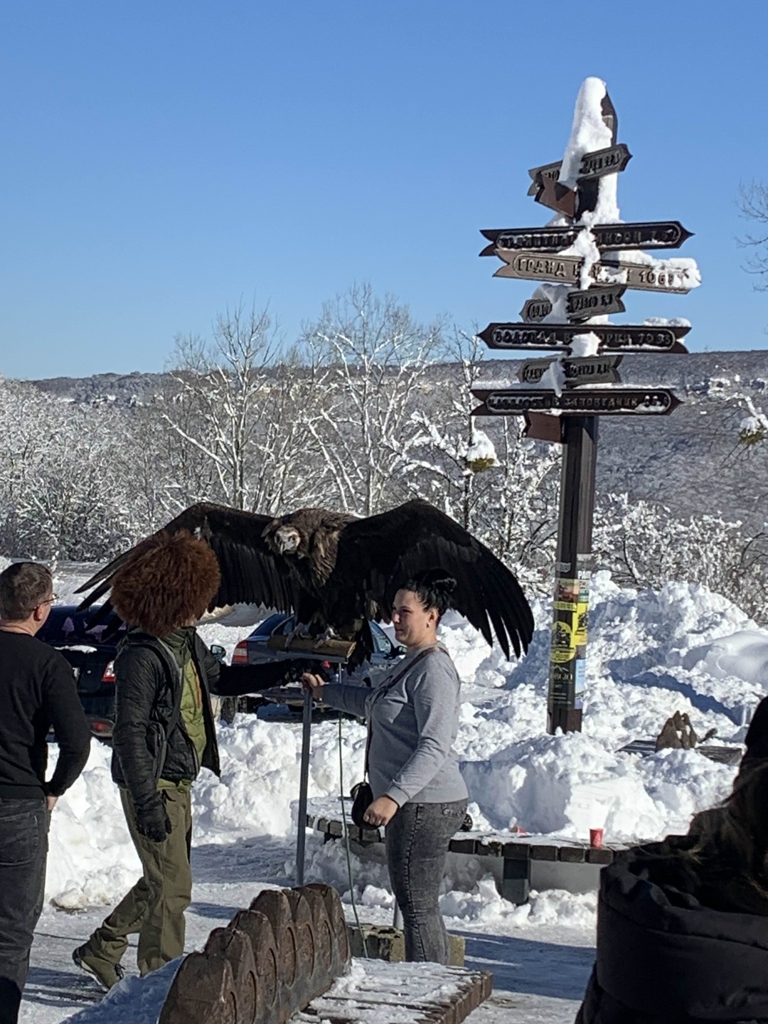 Фото путешественника — 2