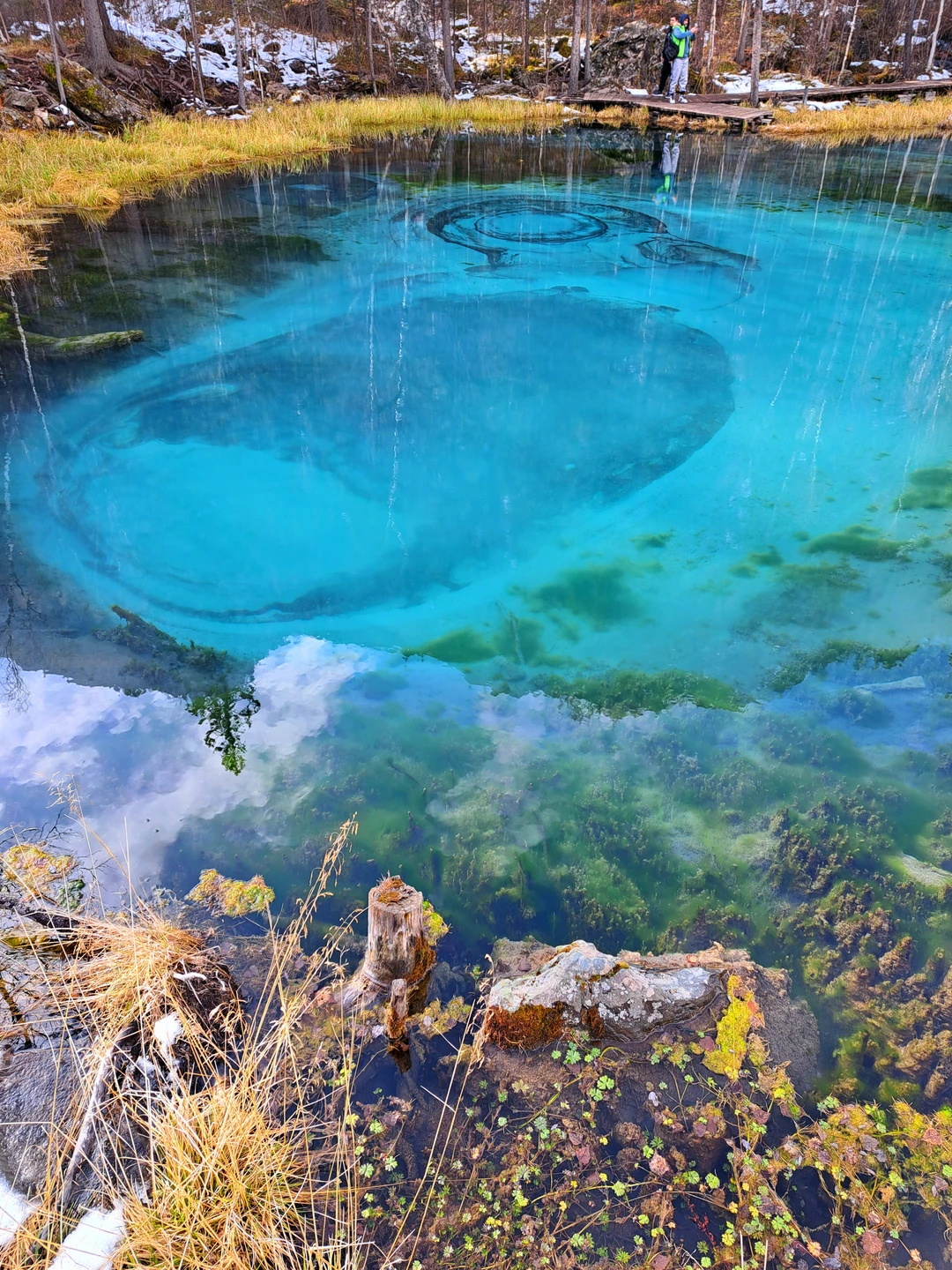 Отзыв о экскурсии "Чуйский тракт: покоряя алтайские вершины" — фото 3