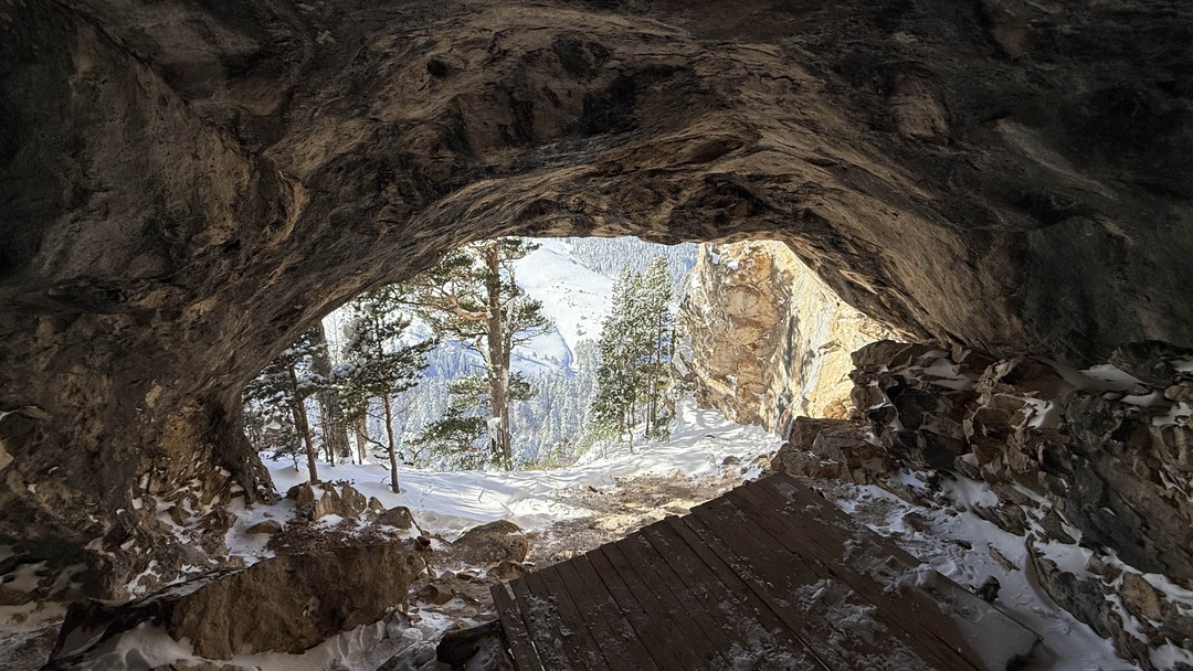 Отзывы об экскурсиях в Краснодаре
