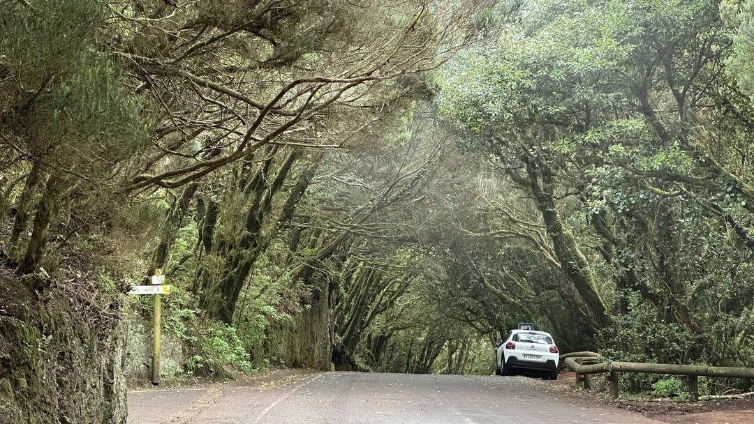 Фото путешественника — 6