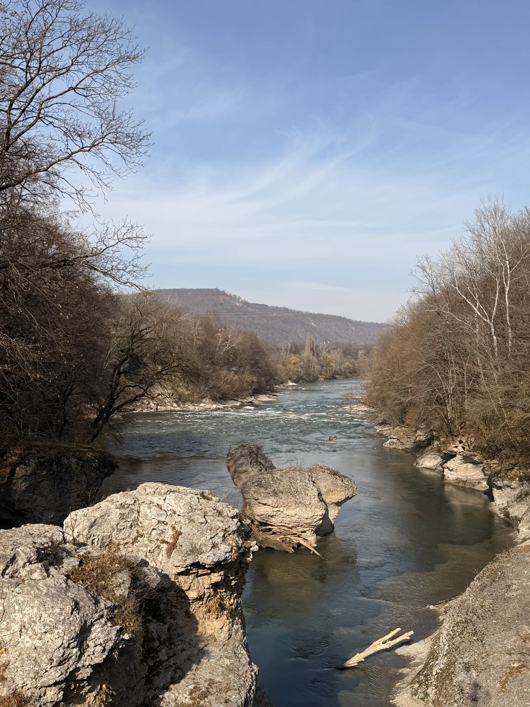 Отзыв о экскурсии "Из Краснодара — по топовым смотровым площадкам плато Лаго-Наки" — фото 8
