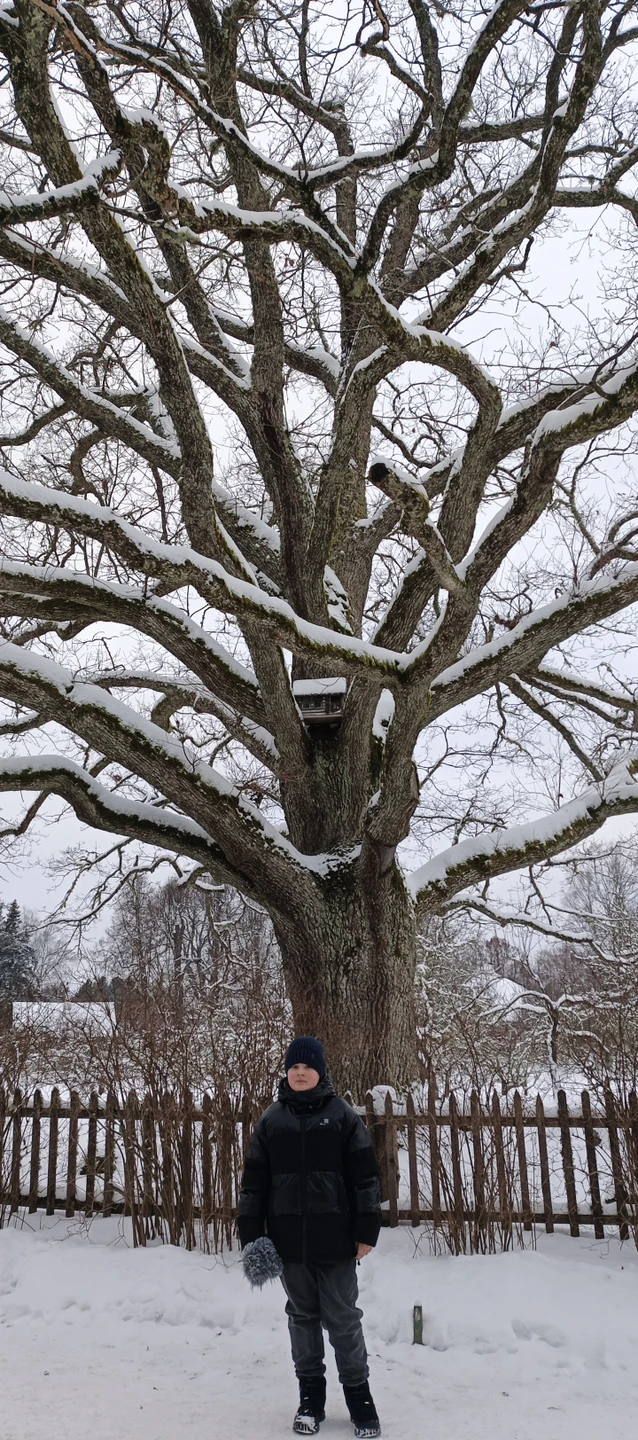 Отзыв о экскурсии "Из Пскова в Пушкинские Горы: Михайловское и Тригорское" — фото 8