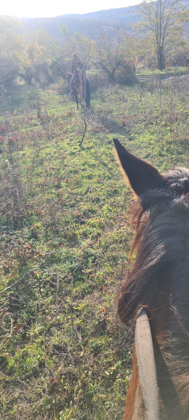 Отзыв о экскурсии "Конная прогулка в горах Геленджика" — фото 6