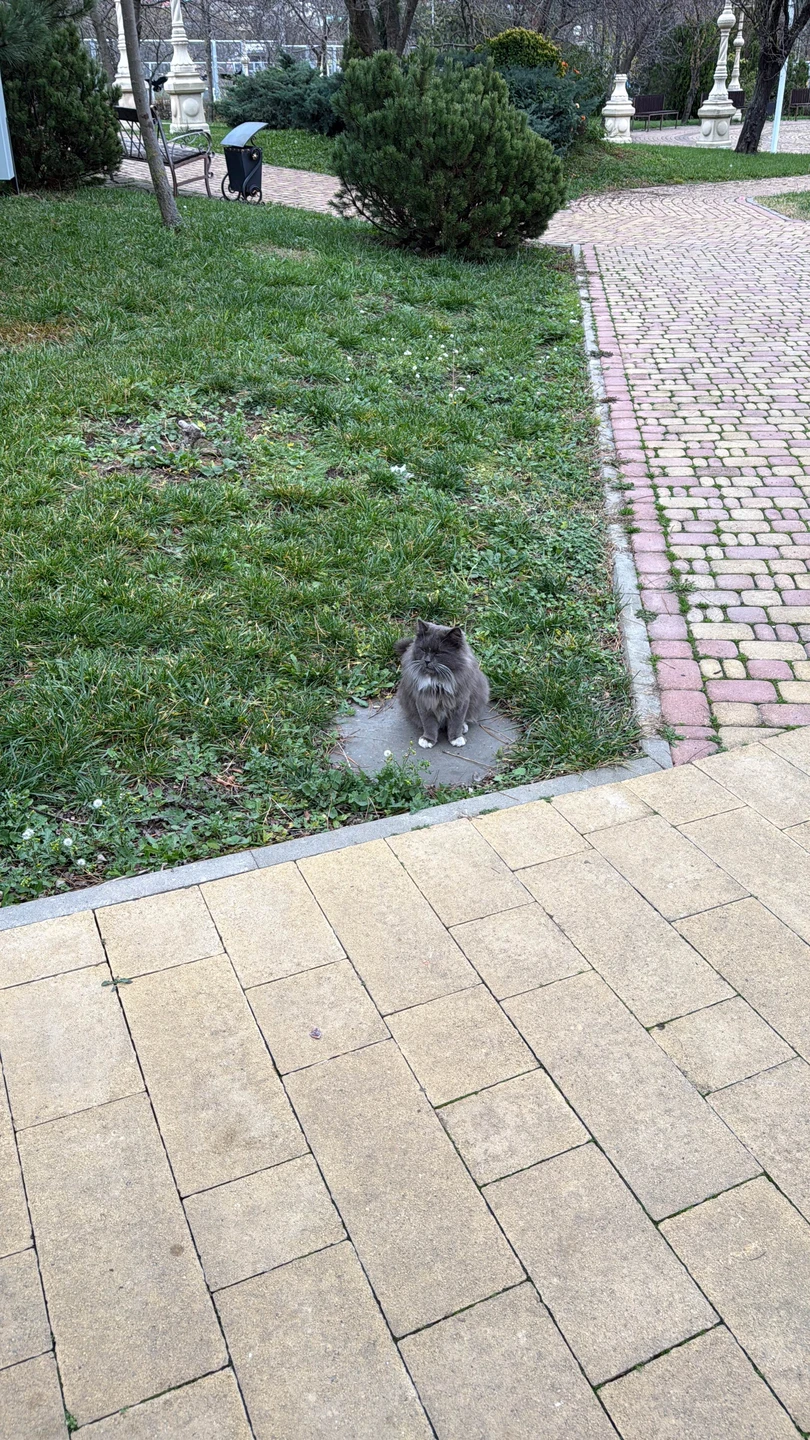 Отзыв о экскурсии "Добро пожаловать в Геленджик!" — фото 4