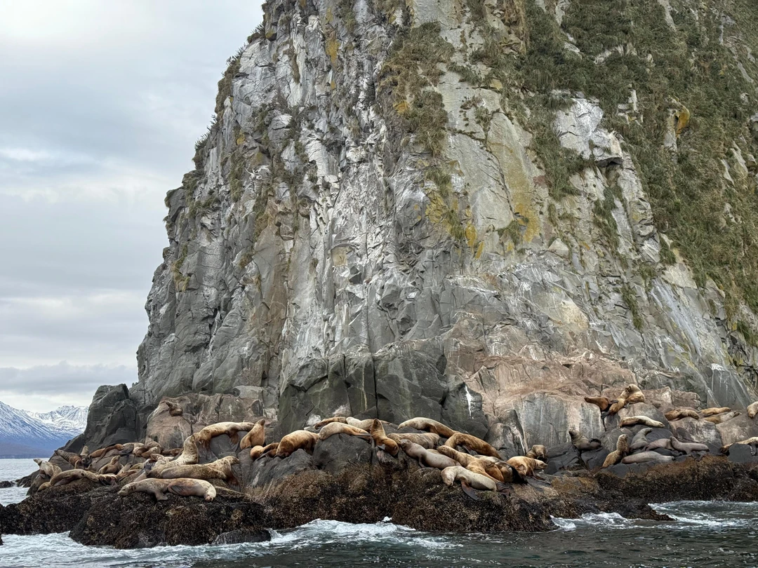Отзыв о экскурсии "Бухта Русская — с высадкой на берег, морской рыбалкой и крабовым сафари" — фото 2