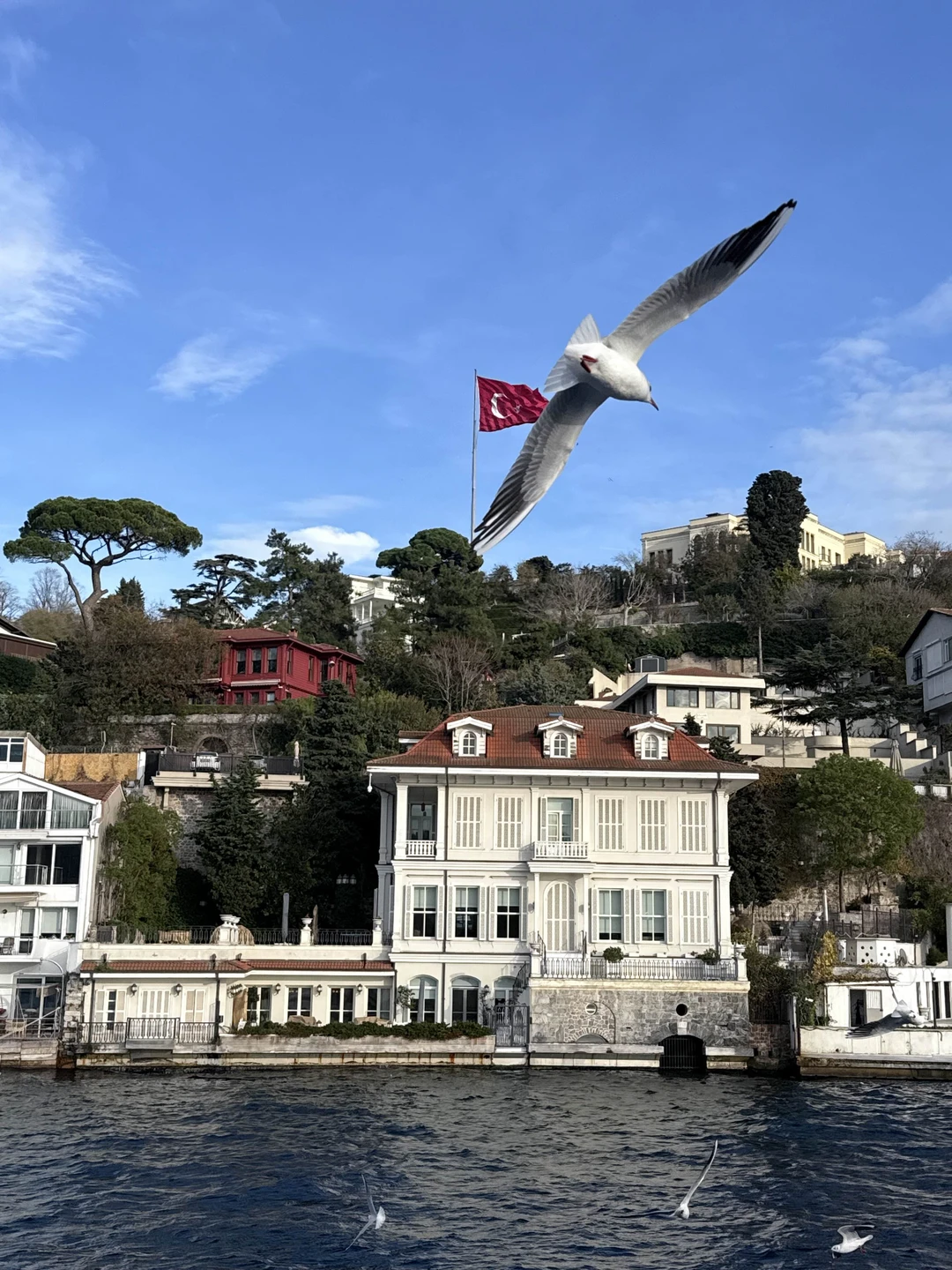 Отзыв о экскурсии "Знакомство со Стамбулом: Старый город + прогулка по Босфору" — фото 3