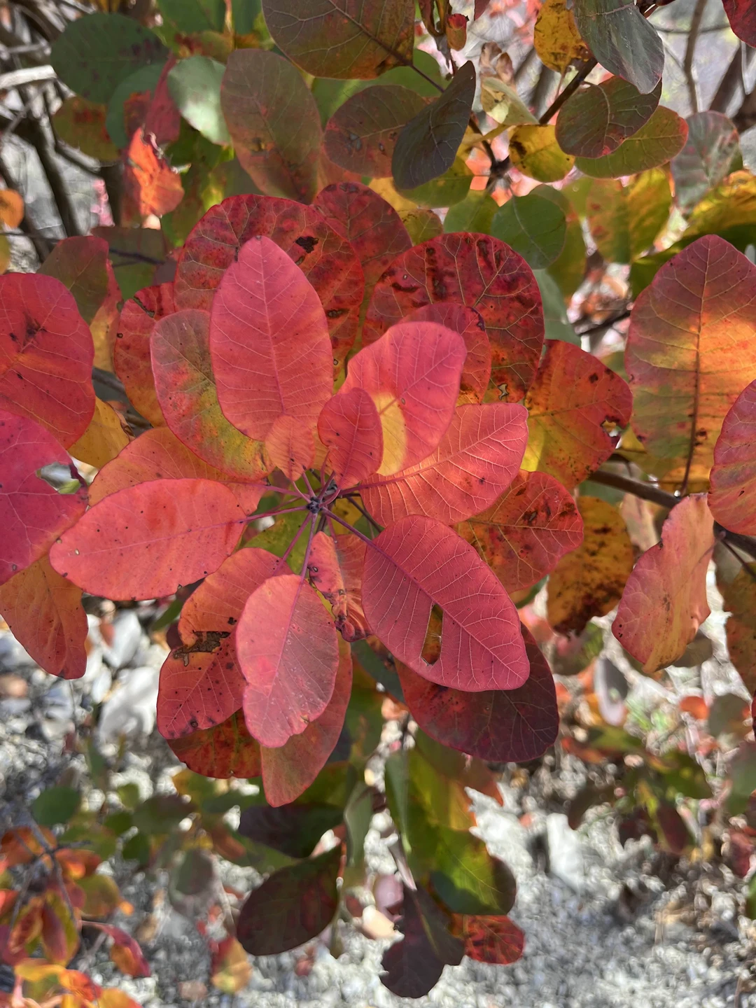 Отзыв о экскурсии "Из Анапы — в долину Лефкадия" — фото 4