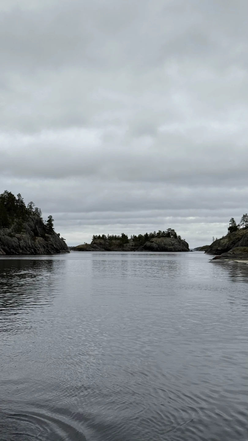 Отзыв о экскурсии "Зимние ладожские шхеры — на аэролодке" — фото 3