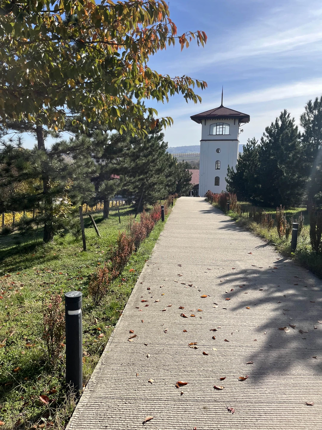 Отзыв о экскурсии "Из Анапы — в долину Лефкадия" — фото 7