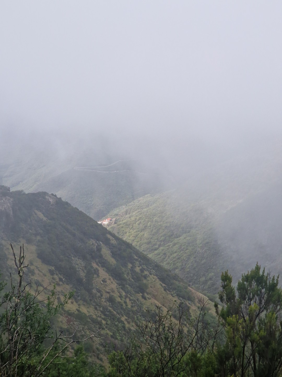 Отзыв о экскурсии "Горная прогулка над ущельем Маска и реликтовый лес Тенерифе" — фото 1