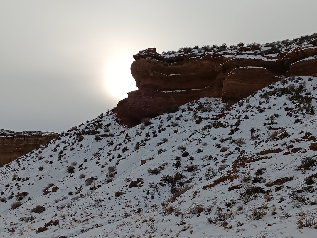 Отзыв о экскурсии "Природа Казахстана: 5 лучших мест за 1 день из Алматы" — фото 6