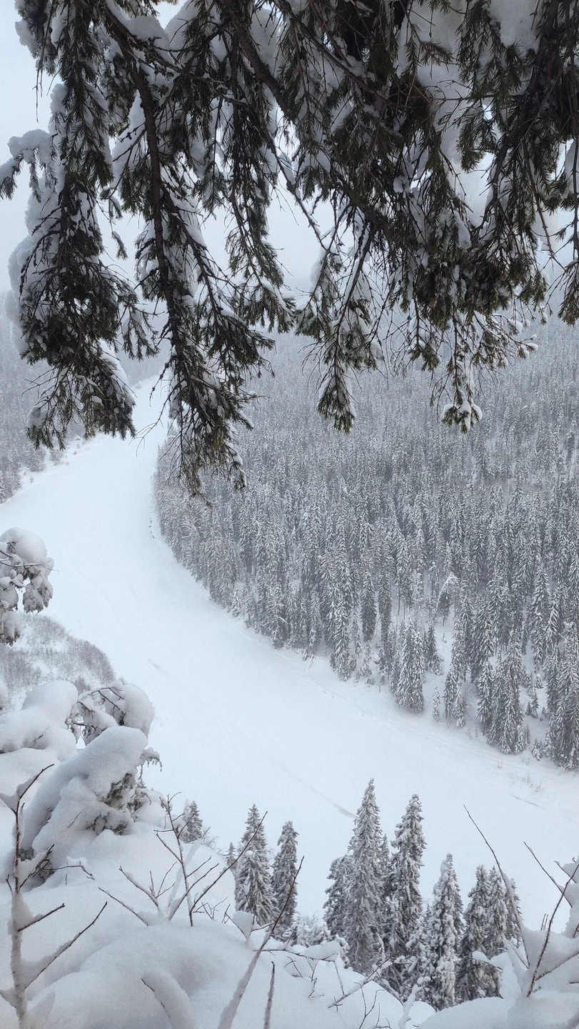 Отзыв о экскурсии "Сказки Пермского края: Усьвинские столбы и Каменный город" — фото 2