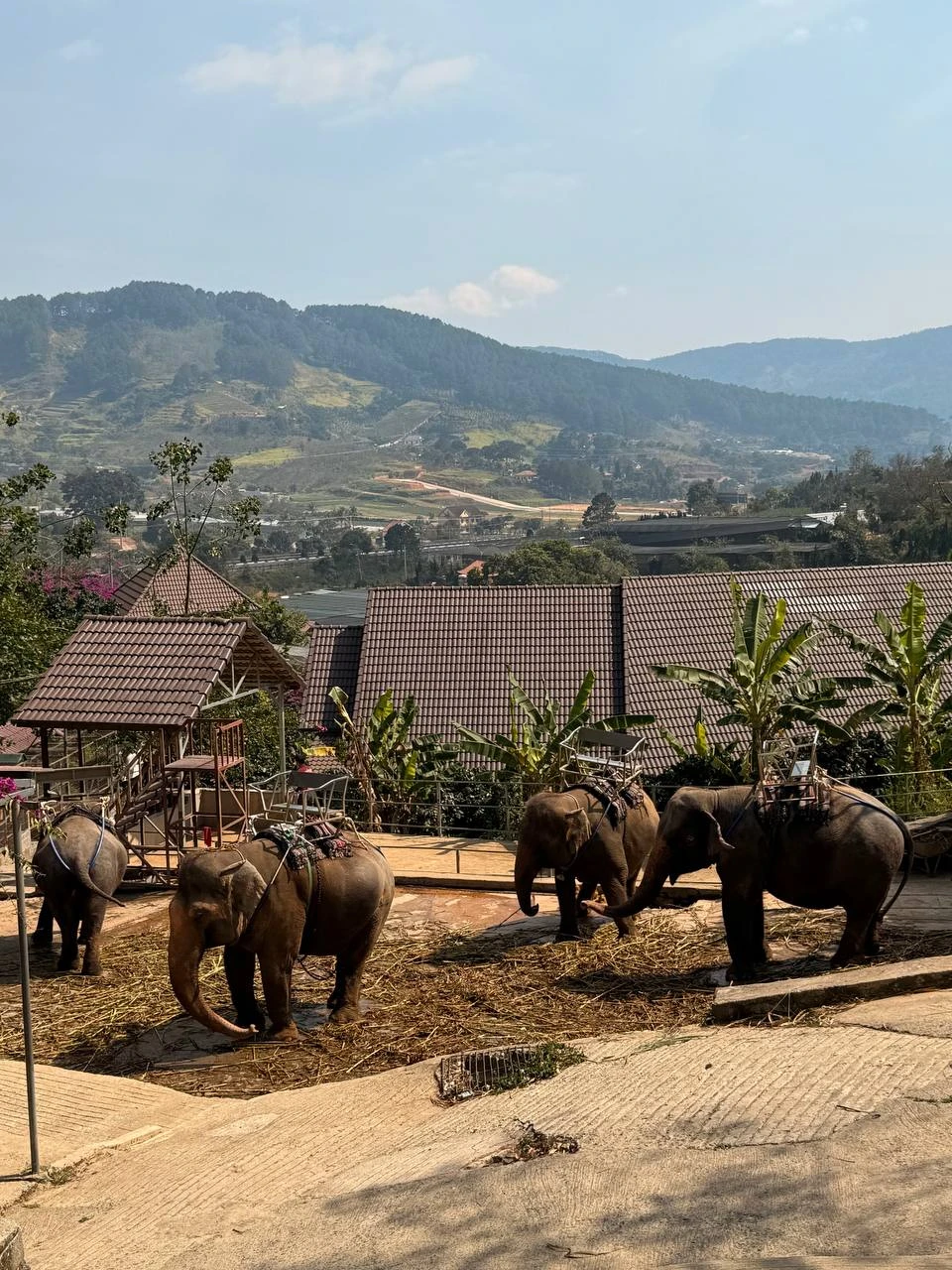 Отзыв о экскурсии "В Далат — из Нячанга" — фото 1