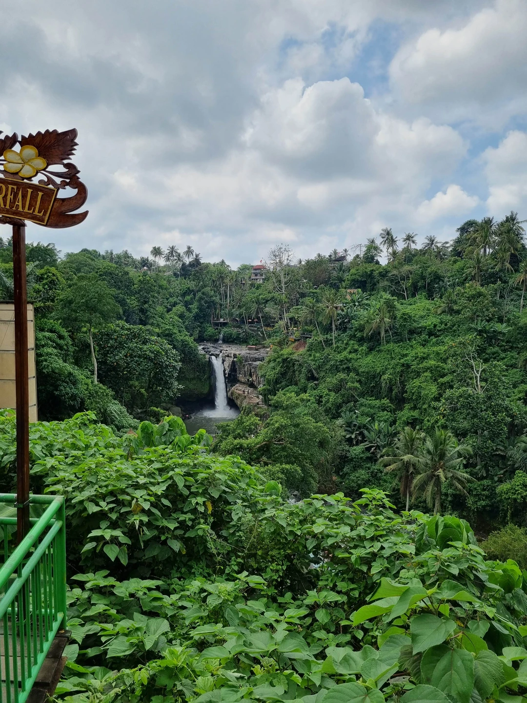 Отзыв о экскурсии "Бали: водопады в джунглях и древний храм" — фото 1