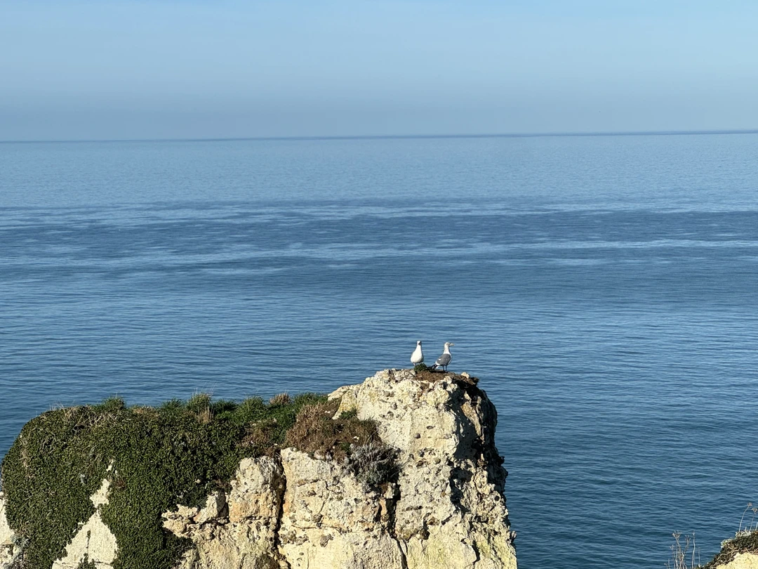 Отзыв о экскурсии "Фотопрогулка по Этрета и Руану" — фото 1