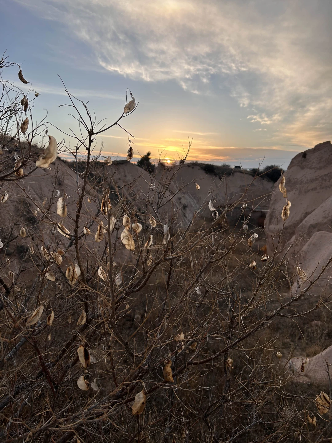 Отзывы об экскурсиях в Сиде