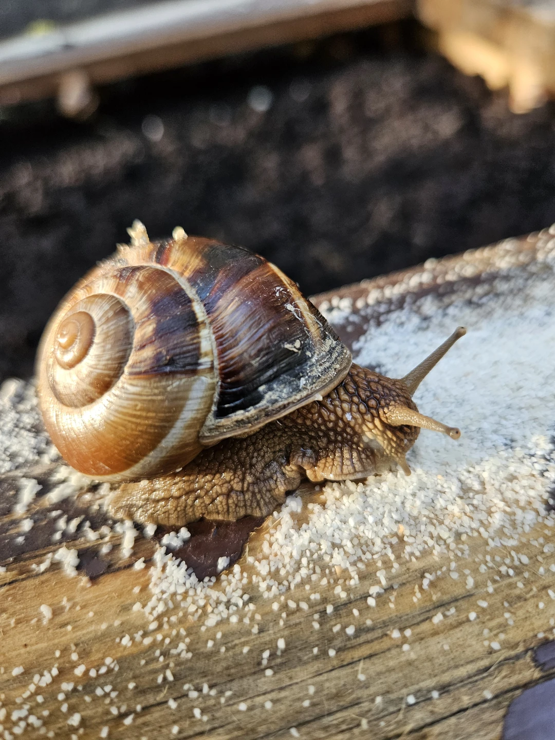 Отзыв о экскурсии "Винная империя Краснодарского края: трансфер в два шато (18+)" — фото 3