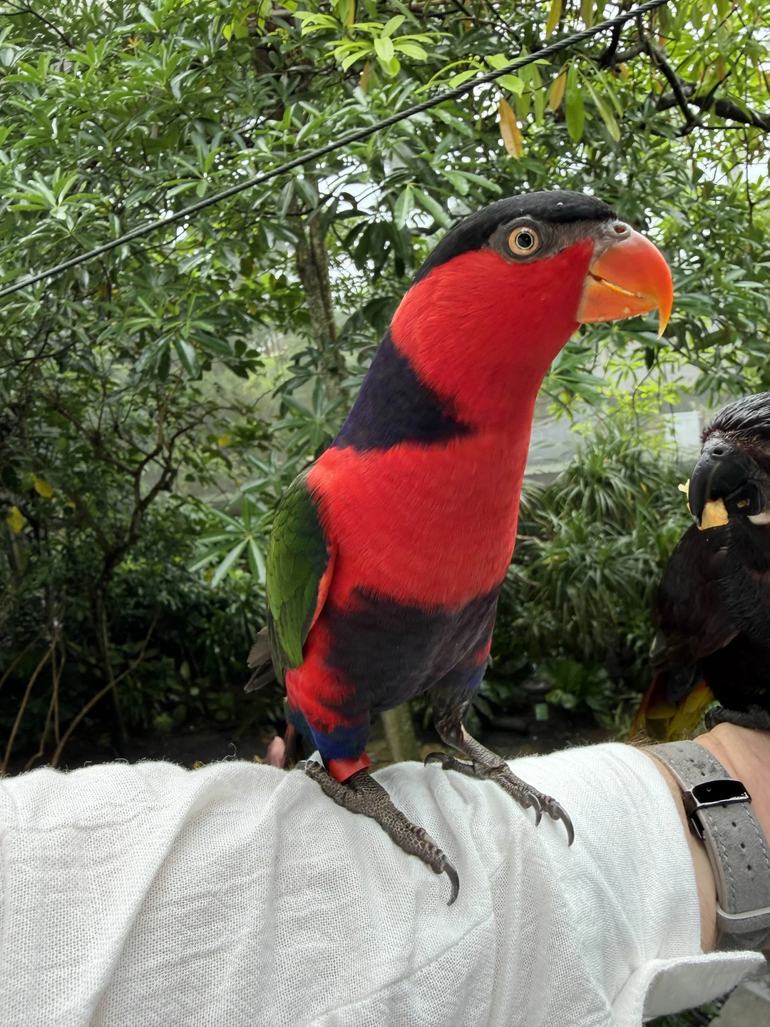 Отзыв о экскурсии "Балийский калейдоскоп" — фото 2