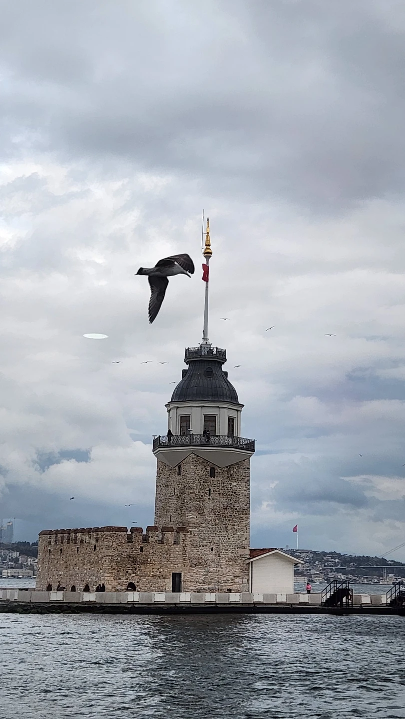 Отзыв о экскурсии "Знакомство со Стамбулом: Старый город + прогулка по Босфору" — фото 1
