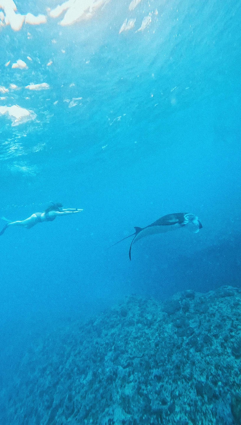 Отзыв о экскурсии "Нуса Пенида: путешествие по острову + снорклинг" — фото 3