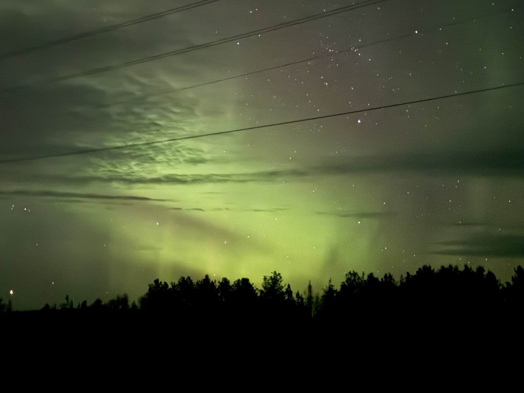 Отзыв о экскурсии "От Белого моря до Баренцева: треккинги и автопрогулки" — фото 4